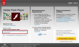 Instructions on how to update the outdated Adobe Flash Player plugin